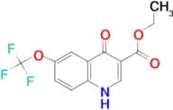 Ethyl 4-hydroxy-6-(trifluoromethoxy)quinoline-3-carboxylate