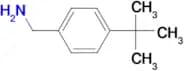 4-tert-Butylbenzylamine