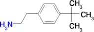 2-(4-tert-Butylphenyl)ethylamine  CONTROLLED DRUG CLASS A SCHEDULE 1