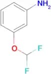 3-(Difluoromethoxy)aniline