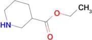 Piperidine-3-carboxylic acid ethyl ester