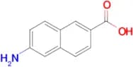 6-Amino-2-naphthoic acid