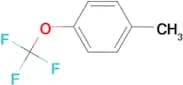 4-Toluene trifluoromethyl ether