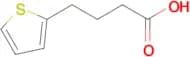 4-(2-Thienyl)butyric acid