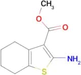 2-Amino-4,5,6,7-tetrahydro-benzo[b]thiophene-3-carboxylic acid methyl ester