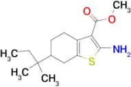 2-Amino-6-(1,1-dimethylpropyl)-4,5,6,7-tetrahydrobenzo[b]thiophene-3-carboxylic acid methyl ester