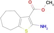 2-Amino-5,6,7,8-tetrahydro-4H-cyclohepta[b]-thiophene-3-carboxylic acid methyl ester