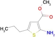 2-Amino-5-propyl-thiophene-3-carboxylic acidmethyl ester
