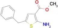 2-Amino-5-benzylthiophene-3-carboxylic acidmethyl ester