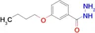 3-Butoxy-benzoic acid hydrazide