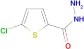 5-Chlorothiophene-2-carboxylic acid hydrazide