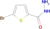 5-Bromo-thiophene-2-carboxylic acid hydrazide