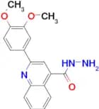 2-(3,4-Dimethoxy-phenyl)-quinoline-4-carboxylic acid hydrazide