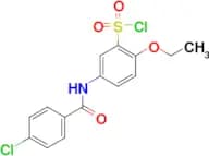 5-(4-Chlorobenzoylamino)-2-ethoxybenzenesulfonyl chloride