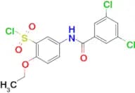 5-(3,5-Dichlorobenzoylamino)-2-ethoxy-benzenesulfonyl chloride
