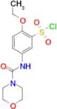 2-Ethoxy-5-[(morpholine-4-carbonyl)-amino]-benzenesulfonyl chloride