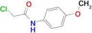 2-Chloro-N-(4-methoxy-phenyl)-acetamide