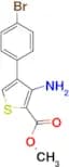 Methyl 3-amino-4-(4-bromophenyl)thiophene-2-carboxylate
