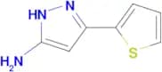 5-Amino-3-(2-thienyl)pyrazole