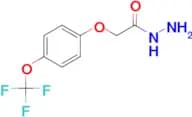 4-(Trifluoromethoxy)phenoxyacetic acid hydrazide