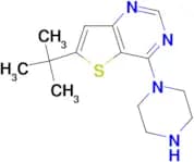 6-t-Butyl-4-piperazinothieno[3,2-d]pyrimidine