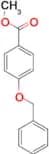 Methyl 4-benzyloxybenzoate