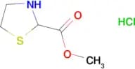 Methyl thiazolidine-2-carboxylate hydrochloride