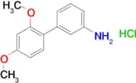 2′,4′-Dimethoxy-biphenyl-3-ylaminehydrochloride