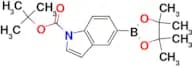 tert-Butyl 5-(4,4,5,5-tetramethyl-1,3,2-dioxaborolan-2-yl)indole-1-carboxylate
