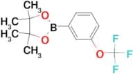 4,4,5,5-Tetramethyl-2-(3-trifluoromethoxyphenyl)-1,3,2-dioxaborolane
