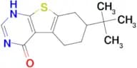 7-tert-Butyl-5,6,7,8-tetrahydro-3H-benzo[4,5]-thieno[2,3-d]pyrimidin-4-one