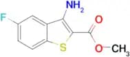 Methyl 3-amino-5-fluoro-benzo[b]thiophene-2-carboxylate