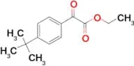 Ethyl 4-tert-butylbenzoylformate