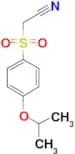 (4-iso-Propoxy-benzenesulfonyl)-acetonitrile