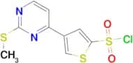4-[2-(Methylthio)pyrimidin-4yl]thiophene-2-sulfonyl chloride