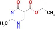 4-Hydroxy-2-methyl-pyrimidine-5-carboxylic acid ethyl ester