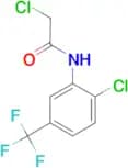 2-Chloro-N-(2-chloro-5-trifluoromethyl-phenyl)-acetamide