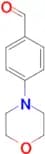 4-Morpholin-4-yl-benzaldehyde
