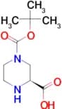 (S)-4-N-Boc-Piperazine-2-carboxylic acid