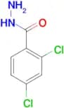 2,4-Dichlorobenzhydrazide