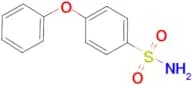 4-Phenoxybenzenesulfonamide