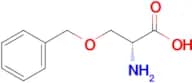 O-Benzyl-D-Serine