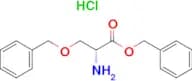O-Benzyl-D-serine benzyl ester hydrochloride