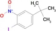 4-Iodo-3-nitro-tert-butylbenzene