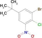 3-Bromo-4-chloro-5-nitrotertbutylbenzene
