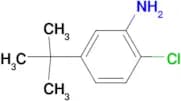 2-Chloro-5-tert-butylaniline