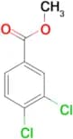 Methyl 3,4-dichlorobenzoate