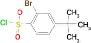 2-Bromo-4-tert-butylbenzenesulfonyl chloride