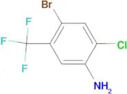 5-Amino-2-bromo-4-chlorobenzotrifluoride