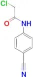 2-Chloro-N-(4-cyano-phenyl)-acetamide